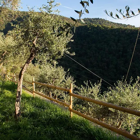 Bed and Breakfast Re Dream A Tema - Ραπάλο