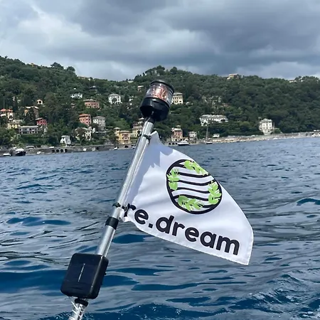 Re Dream A Tema -