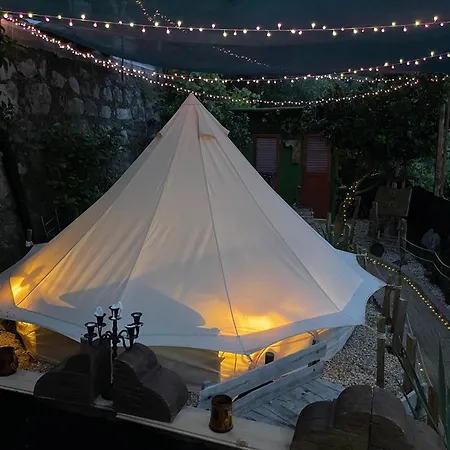 Re Dream A Tema - Rapallo