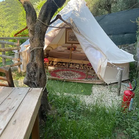 Oda ve Kahvaltı Re Dream A Tema - *